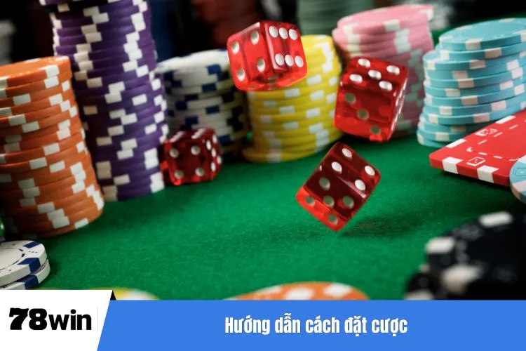 Hướng dẫn cách đặt cược