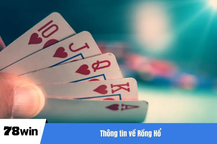 Thông tin về Rồng Hổ