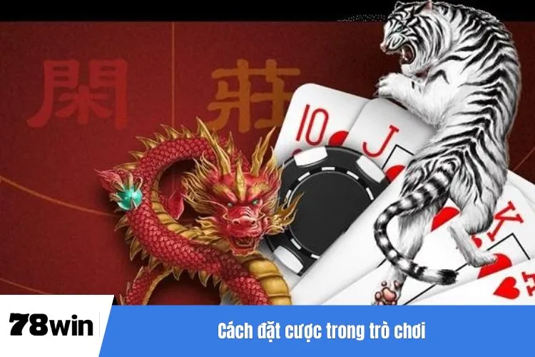 Cách đặt cược trong trò chơi