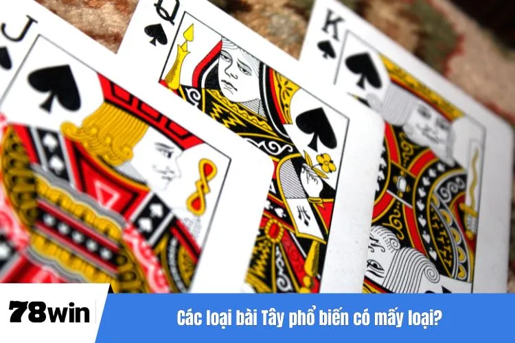 Các loại bài Tây phổ biến có mấy loại?